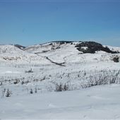 Parc des Grands-Jardins