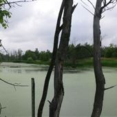 Parc Pointe-des-Prairies