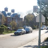 Avenue Cedar
