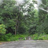 Bois Chomedey