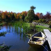 Jardin etang
