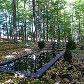 unique Lac Brome