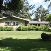 Maison Pine Hedge