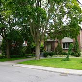 Avenue Balfour