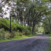 Parc Jean-Drapeau - Routes