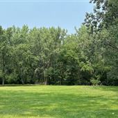 Parc Marie-Victorin (été)