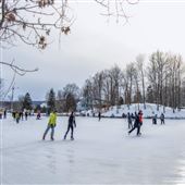 Patinoire du domaine Howard