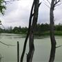 Parc Pointe-des-Prairies