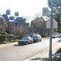 Avenue Cedar