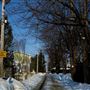 Rue Normand