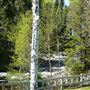 Camping Ferland-et-Boilleau