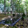 unique Lac Brome