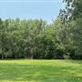 Parc Marie-Victorin (été)