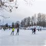 Patinoire du domaine Howard