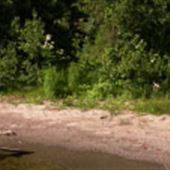 Plage Lac Mégantic