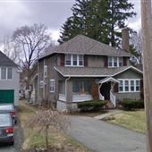 Rue Maple