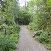 Chemin de la plate-forme Sainte-Rose-du-Nord