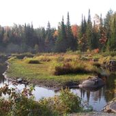 #5218 Parc de la Rivière Duncaster