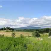 #16429 Les Miels d’Anicet