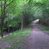 forets lac Brome