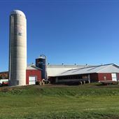Larrymeade Holsteins