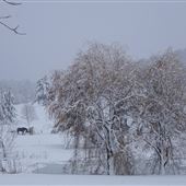 Lake Brome countryside