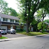 Avenue Vivian