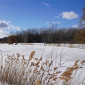 Parc Angrignon - Secteur Étang - Hiver