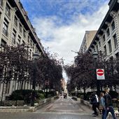 Cours Le Royer