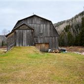 Ferme du village Allard