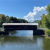 Pont couvert Narrows