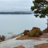 Réserve de biodiversité Michael Dunn