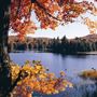 Lac Fortune