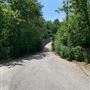 sentier + pont