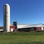Larrymeade Holsteins