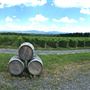 Domaine Les Brome