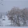 Lake Brome countryside
