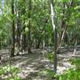 #15516 Lac de Deux-Montagnes