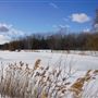 Parc Angrignon - Secteur Étang - Hiver