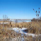 Pont ferroviaire - Mohawk Road