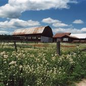Rural
