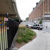 Parc Sans Nom