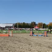 Cheval Défi