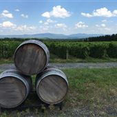 Vignoble Leon Courville