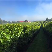 Vignoble Les Vallons de Wadleigh