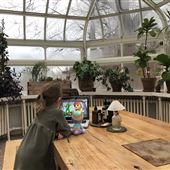 GREENHOUSE / VERRE