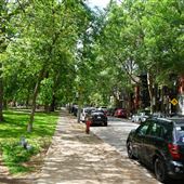 Parc de Lorimier