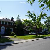 Avenue Cornwall
