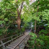 Escalier Colbert