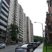 Avenue Forest Hill